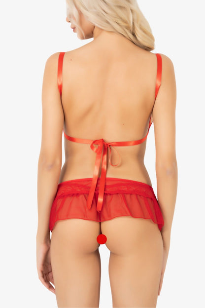 Red Lace Bralette & Sheer Mini Skirt Lingerie Set